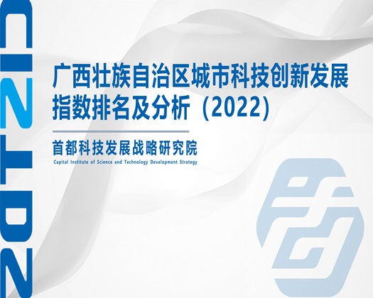 美女尻网站【成果发布】广西壮族自治区城市科技创新发展指数排名及分析（2022）